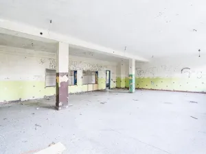 Prodej komerční, Pernarec, 2000 m2