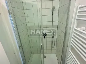 Pronájem bytu 1+1, Praha - Žižkov, Vlkova, 40 m2