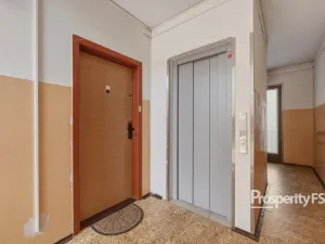 Prodej bytu 1+1, Cvikov - Cvikov II, Sídliště, 41 m2