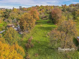 Prodej pozemku, Jankovice, 10000 m2