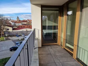 Pronájem bytu 2+kk, Plzeň, Pallova, 55 m2