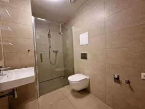 Pronájem bytu 2+kk, Plzeň, Pallova, 55 m2