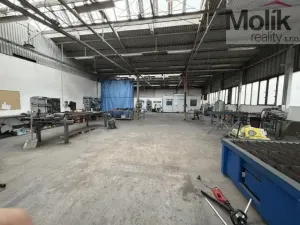 Pronájem skladu, Most - Velebudice, Obchodní, 460 m2