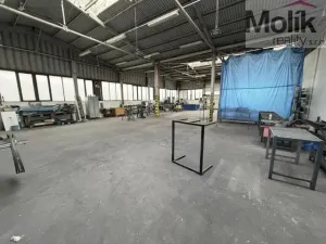 Pronájem skladu, Most - Velebudice, Obchodní, 460 m2