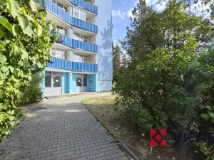 Pronájem bytu 2+1, Plzeň - Doudlevce, Mandlova, 70 m2