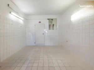 Prodej rodinného domu, Kraslice, 5. května, 380 m2