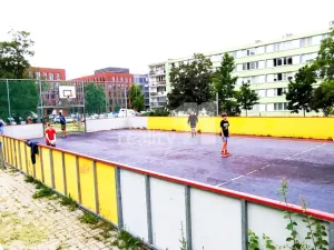 Pronájem bytu 2+kk, Praha - Karlín, Nekvasilova, 47 m2