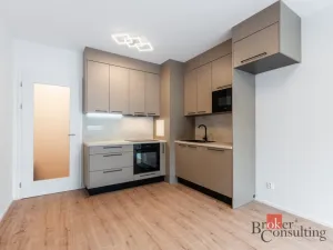Pronájem bytu 2+kk, Brno - Maloměřice, Růženin lom, 59 m2