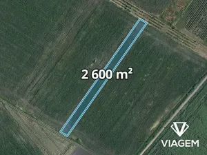 Prodej pole, Velké Bílovice, 2600 m2