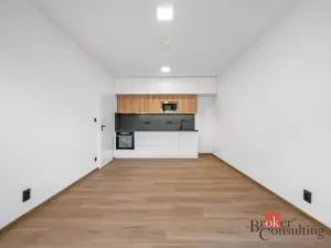 Pronájem bytu 2+kk, Brno - Zábrdovice, Bratislavská, 60 m2