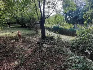 Prodej pozemku pro bydlení, Senohraby, U tunelu, 1644 m2
