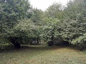 Prodej pozemku pro bydlení, Senohraby, U tunelu, 1644 m2