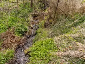 Prodej komerčního pozemku, Žihobce - Šimanov, 2800 m2