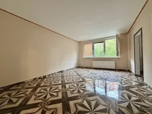 Prodej bytu 3+1, Orlová - Lutyně, F. S. Tůmy, 78 m2
