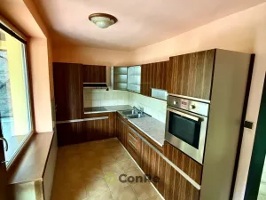 Prodej rodinného domu, Provodín, 297 m2