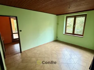 Prodej rodinného domu, Provodín, 297 m2