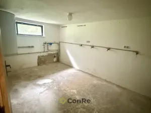 Prodej rodinného domu, Provodín, 297 m2