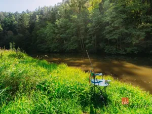 Prodej chaty, Plasy, 56 m2