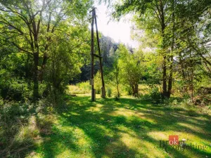 Prodej chaty, Plasy, 56 m2