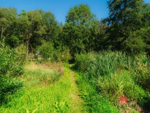 Prodej chaty, Plasy, 56 m2