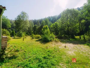 Prodej chaty, Plasy, 56 m2