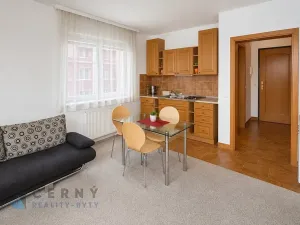 Pronájem bytu 1+kk, Liberec, Boženy Němcové, 28 m2