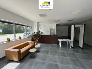 Pronájem výrobních prostor, Linhartice, 11000 m2