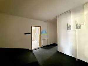 Prodej bytu 3+1, Františkovy Lázně, Francouzská, 103 m2