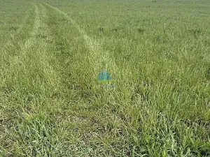Prodej pole, Františkovy Lázně - Horní Lomany, Americká, 584 m2