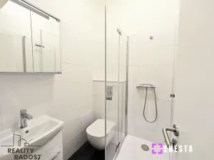 Pronájem bytu 1+kk, Praha - Vinohrady, Perunova, 27 m2