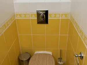 Pronájem rodinného domu, Hartmanice, 90 m2