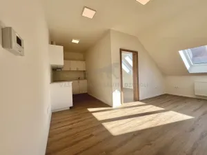 Pronájem bytu 2+kk, Praha - Žižkov, Zelenky-Hajského, 44 m2