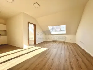 Pronájem bytu 2+kk, Praha - Žižkov, Zelenky-Hajského, 44 m2