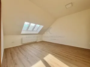 Pronájem bytu 2+kk, Praha - Žižkov, Zelenky-Hajského, 44 m2