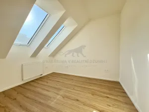 Pronájem bytu 2+kk, Praha - Žižkov, Zelenky-Hajského, 44 m2