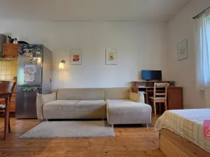 Prodej pozemku pro bydlení, Bílovice nad Svitavou, Dobrovského, 380 m2