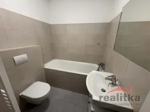 Pronájem bytu 1+1, Opava - Předměstí, Jaselská, 35 m2