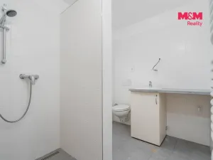 Pronájem bytu 1+kk, Mnichovo Hradiště - Hradec, 25 m2