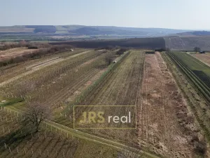 Prodej chaty, Brumovice, 16 m2
