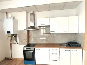 Pronájem bytu 1+1, Olomouc, Kačení, 55 m2