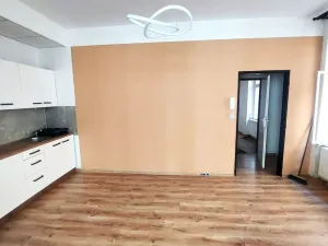Pronájem bytu 1+1, Olomouc, Kačení, 55 m2