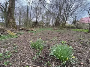 Prodej pozemku, Chotěboř - Počátky, 463 m2
