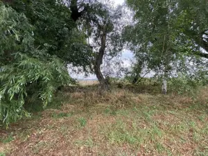 Prodej pozemku, Holasovice, 173 m2