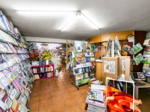Pronájem obchodního prostoru, Domažlice - Dolejší Předměstí, Husova třída, 140 m2