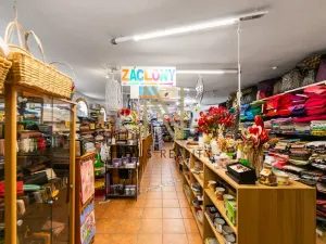 Pronájem obchodního prostoru, Domažlice - Dolejší Předměstí, Husova třída, 140 m2