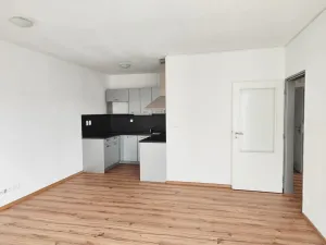 Pronájem bytu 3+kk, České Budějovice - České Budějovice 3, Pekárenská, 60 m2