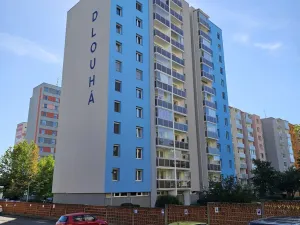 Prodej bytu 2+kk, České Budějovice, Dlouhá, 39 m2