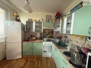 Prodej bytu 4+1, Litvínov - Janov, Luční, 83 m2