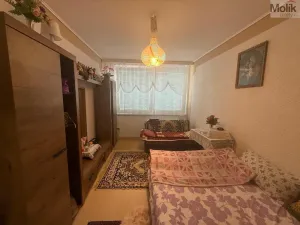 Prodej bytu 4+1, Litvínov - Janov, Luční, 83 m2