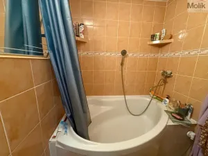 Prodej bytu 4+1, Litvínov - Janov, Luční, 83 m2